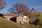 20061030_152715 Alpe Cermine.jpg